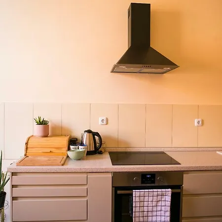 Apartment Stylish In The Pedestrian Zone - City Centre! Maribor